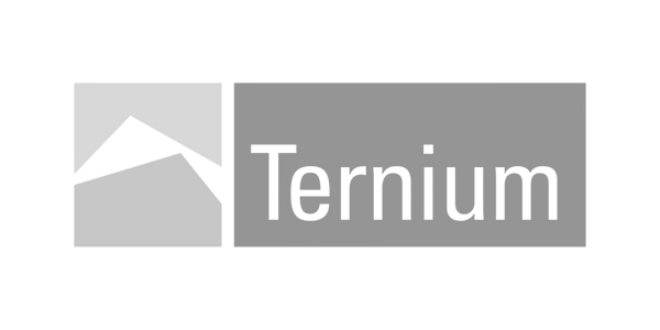 Logo de Ternium.